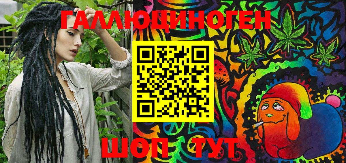 Псилоцибиновые грибы Psilocybe Унеча